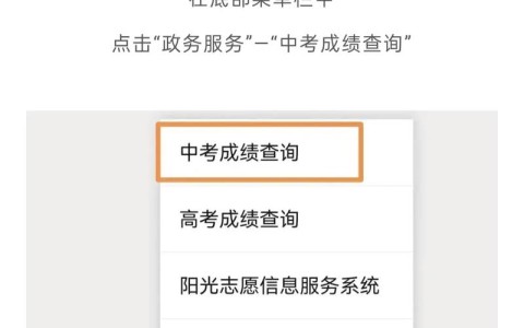 中考成绩查询网站入口（广西中考成绩查询网站入口）