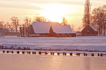 城市更新行动（国家城市更新行动）