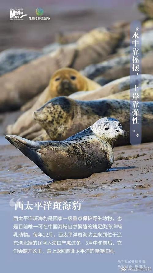 生物多样性保护(COP15后续)(cop15生物多样性资料)