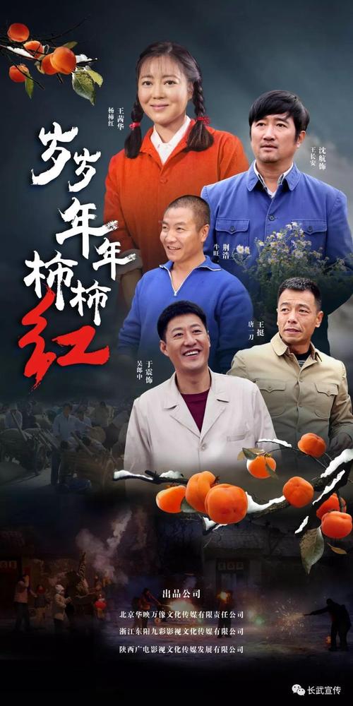 电视剧《阵地》(电视剧阵地演员表)