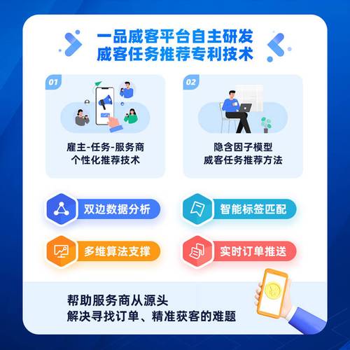 数字服务法案(平台经济监管)(数字化服务平台的投资)
