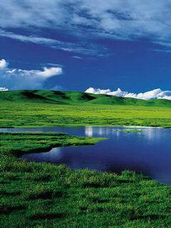 中关村特价手机网（中关村手机网站）