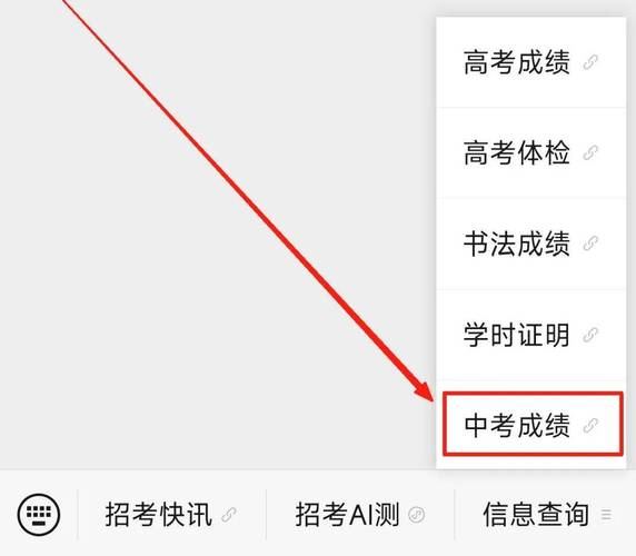 中考成绩查询网站入口（广西中考成绩查询网站入口）
